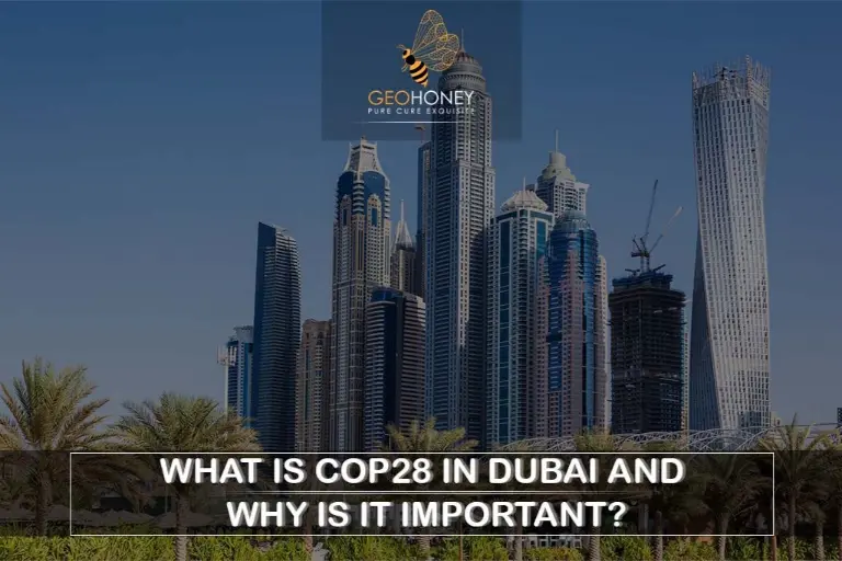 COP28: United Nations Climate Meeting in Dubai, UAE, November 30 - December 12, 2023" against a backdrop of the Dubai skyline.